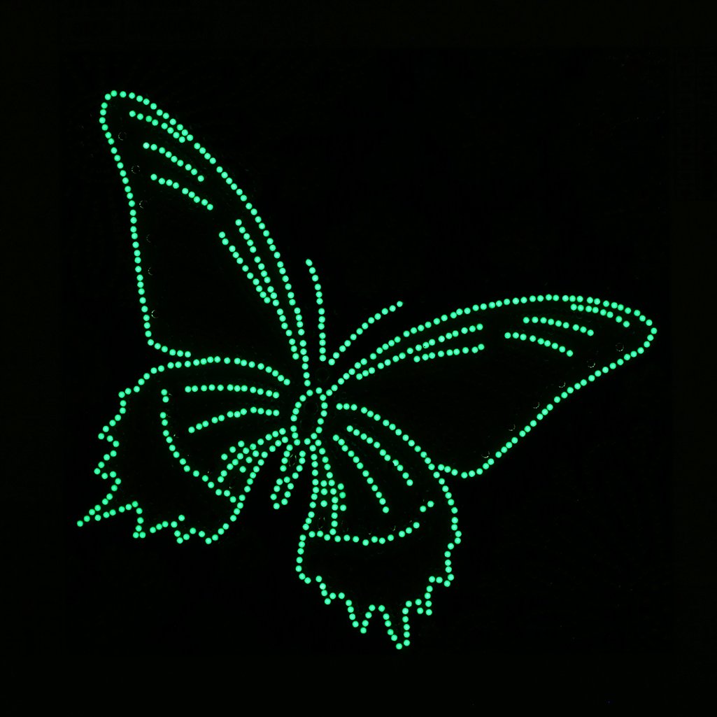 Glow in the Dark Butterfly
