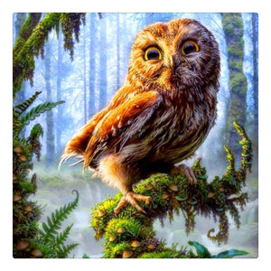 Owl Vision-DIY Diamond Painting